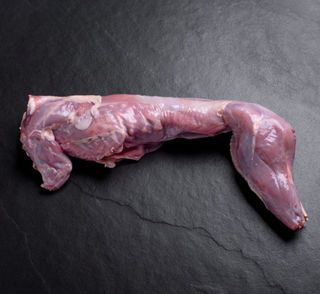 Frozen Whole Wild Caught Rabbit