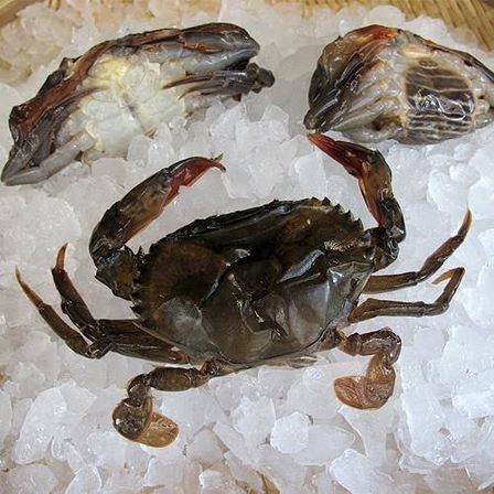 Soft Shell Crab 1kg