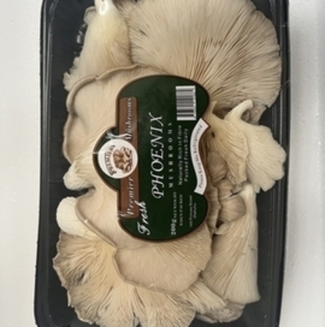 Phoenix Mushroom（凤尾菇） 200g